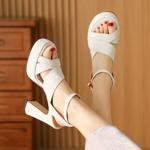 Handcrafted Premium Leather Women's Shoes - Elegant Luxury(Edfmr769-5)