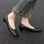 Exquisite Handcrafted Genuine Leather Women's Shoes - Elegant Luxury(Etrj220F658-2)